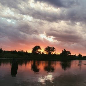 Meet your Posher, Frankie